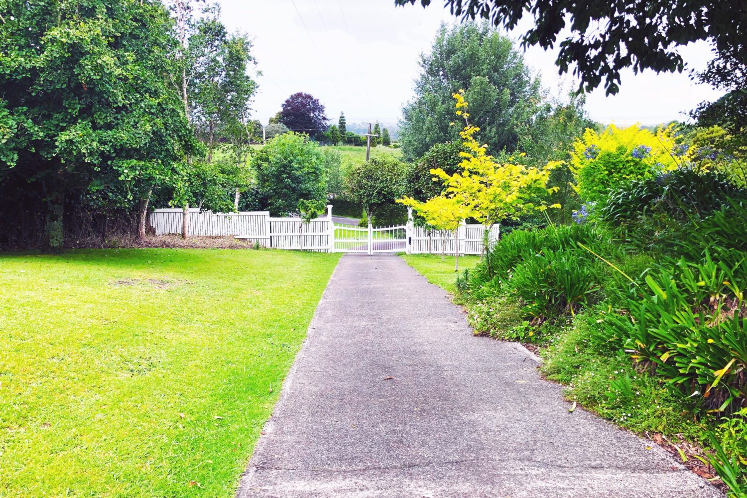A residential driveway and property gate